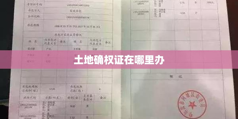 土地确权证在哪里办