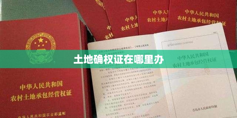 土地确权证在哪里办