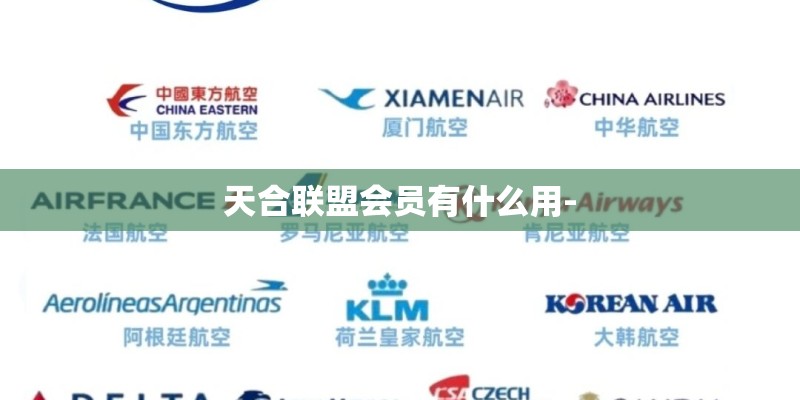 天合联盟会员有什么用-