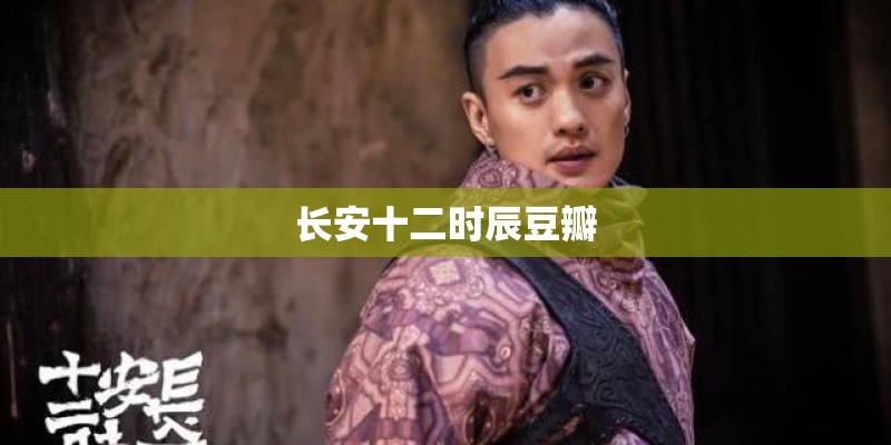 长安十二时辰豆瓣