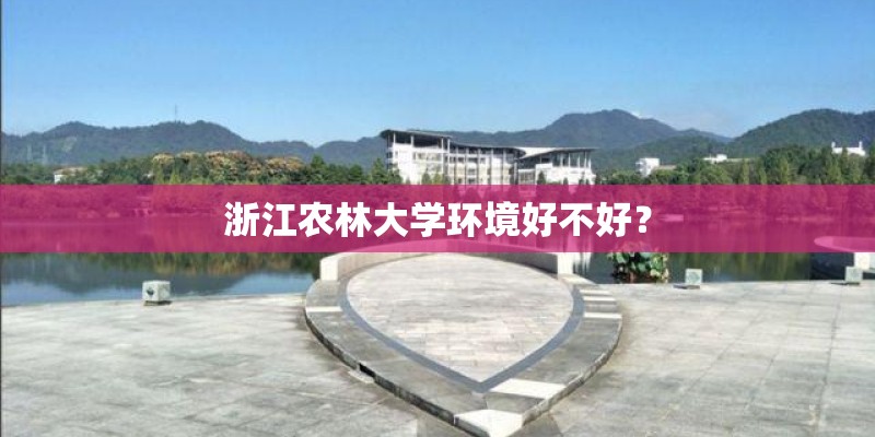 浙江农林大学环境好不好？