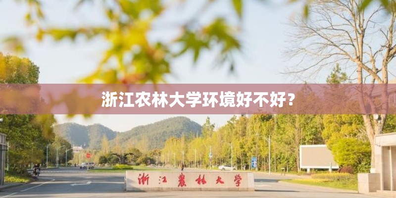 浙江农林大学环境好不好？