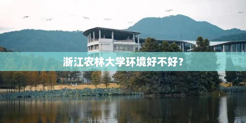 浙江农林大学环境好不好？