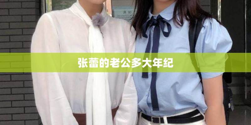 张蕾的老公多大年纪