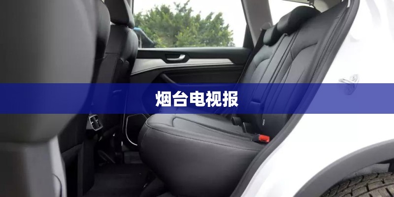 烟台电视报
