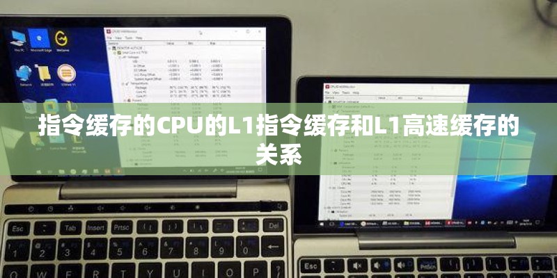 指令缓存的CPU的L1指令缓存和L1高速缓存的关系 指令缓存的CPU的L1指令缓存和L1高速缓存的关系