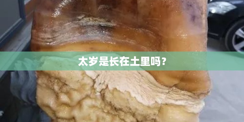 太岁是长在土里吗？