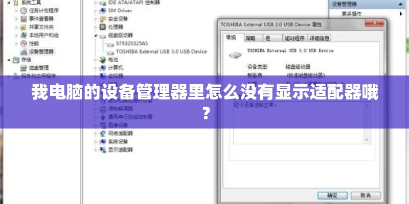 我电脑的设备管理器里怎么没有显示适配器哦？