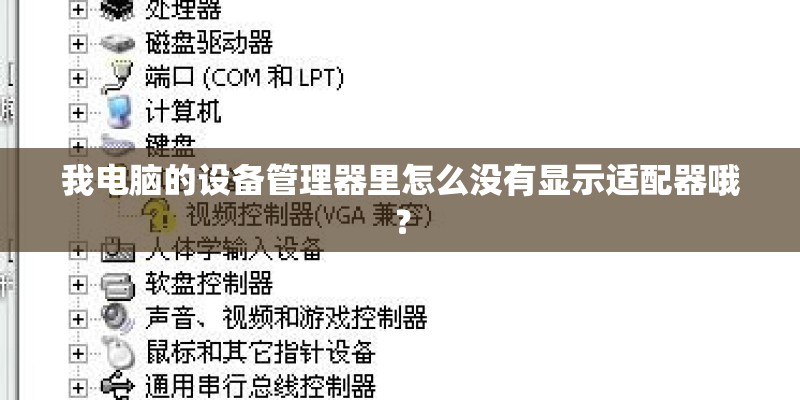 我电脑的设备管理器里怎么没有显示适配器哦? 我电脑的设备管理器里怎么没有显示适配器哦?
