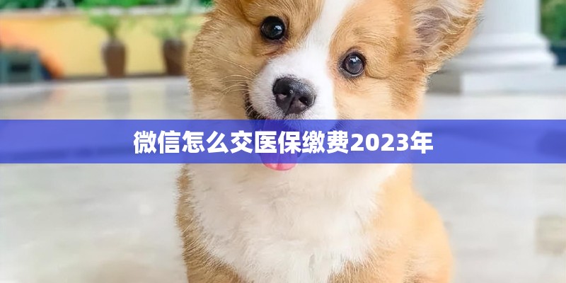 微信怎么交医保缴费2023年