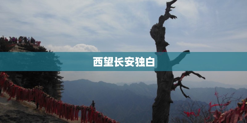 西望长安独白