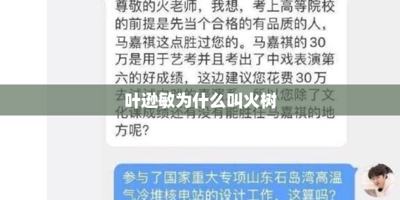 叶逊敏为什么叫火树