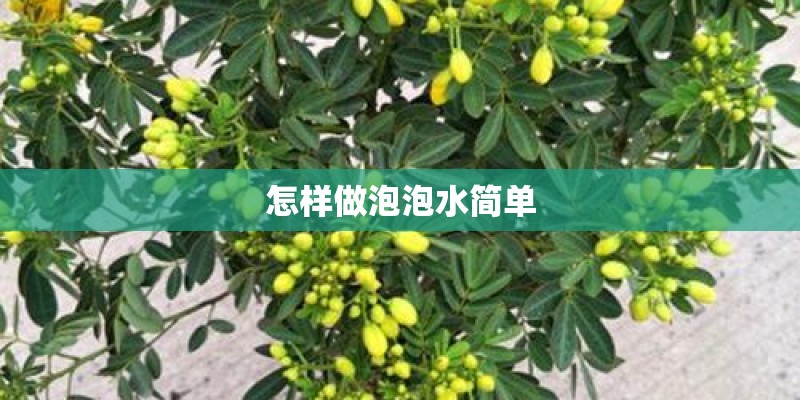 怎样做泡泡水简单