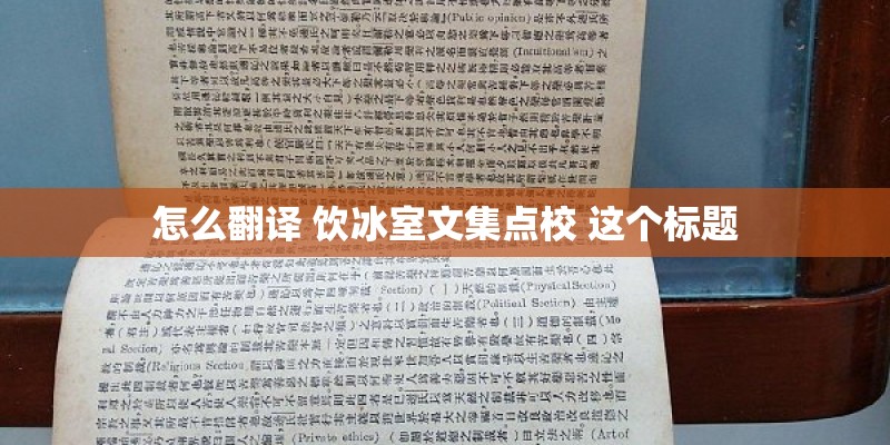 怎么翻译 饮冰室文集点校 这个标题