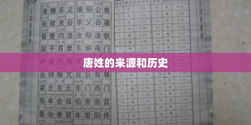 唐姓的来源和历史