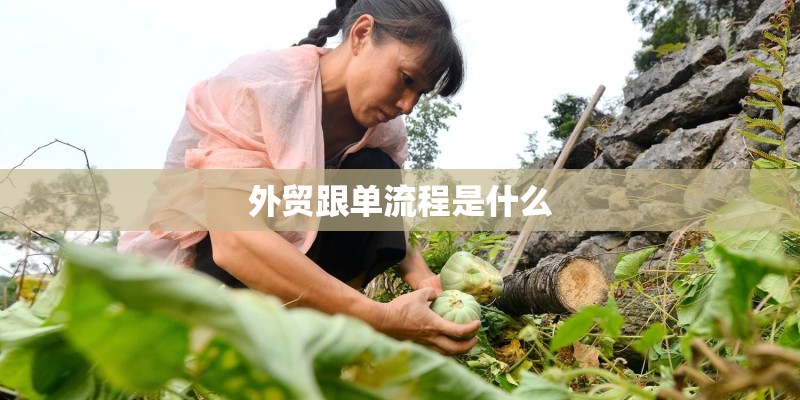 外贸跟单流程是什么 外贸跟单流程是什么