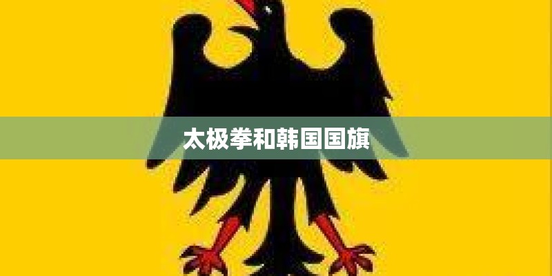太极拳和韩国国旗