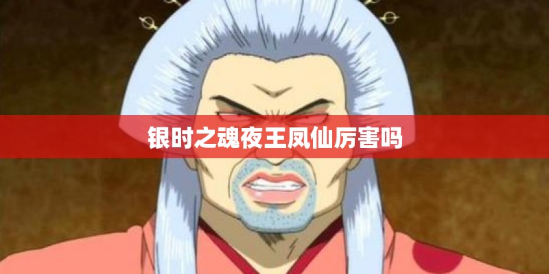 银时之魂夜王凤仙厉害吗
