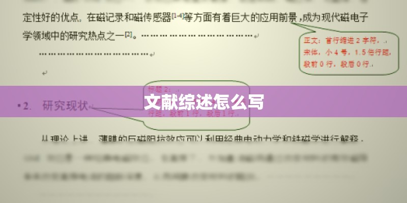 文献综述怎么写