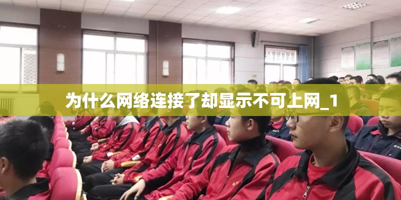 为什么网络连接了却显示不可上网_1