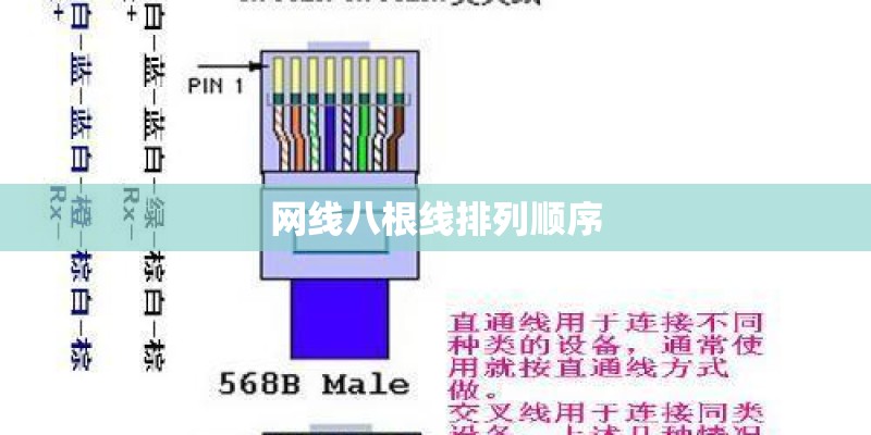 网线八根线排列顺序