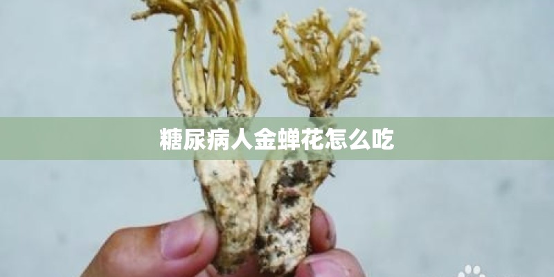 糖尿病人金蝉花怎么吃