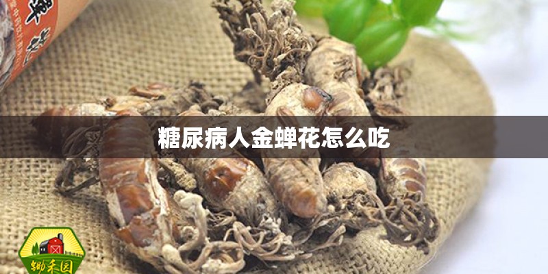 糖尿病人金蝉花怎么吃