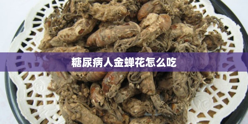 糖尿病人金蝉花怎么吃