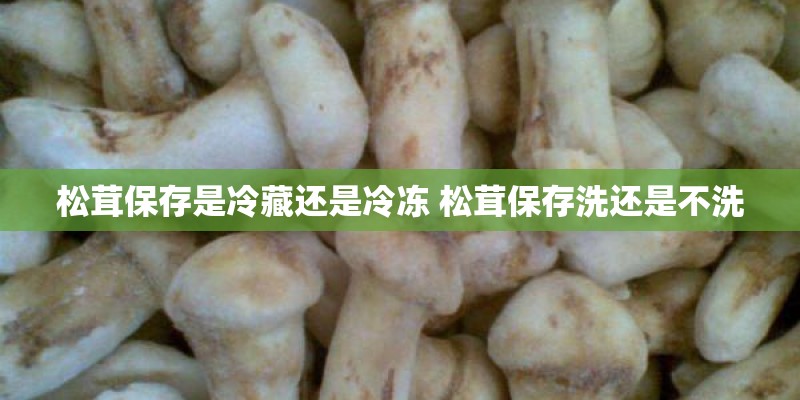 松茸保存是冷藏还是冷冻 松茸保存洗还是不洗