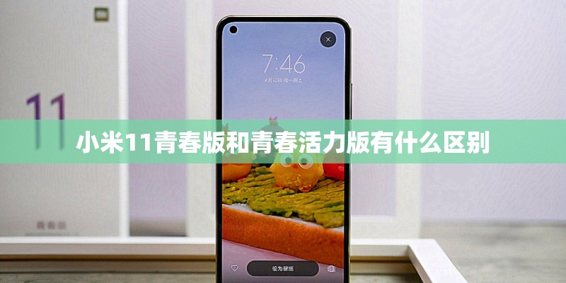小米11青春版和青春活力版有什么区别