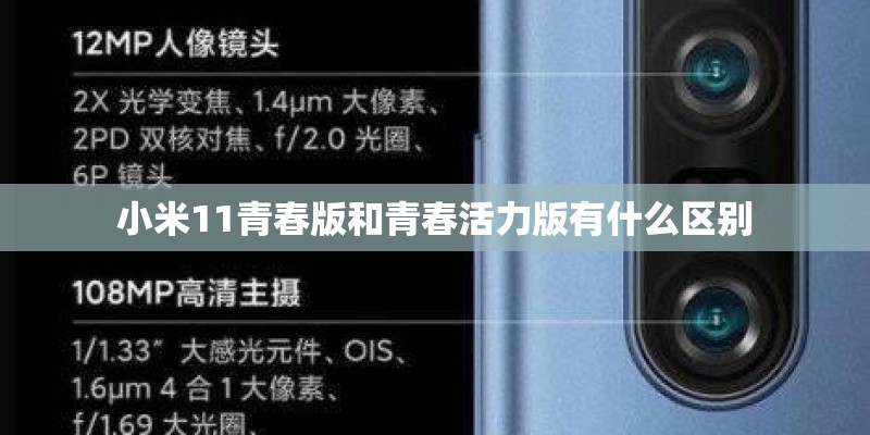 小米11青春版和青春活力版有什么区别