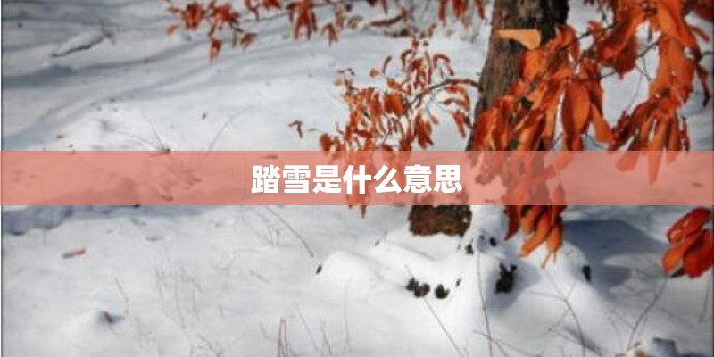 踏雪是什么意思