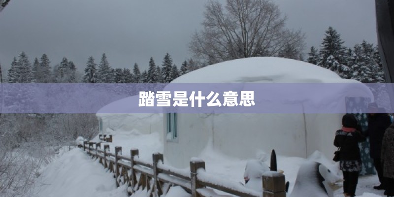 踏雪是什么意思
