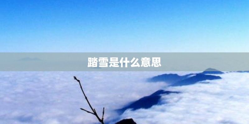 踏雪是什么意思