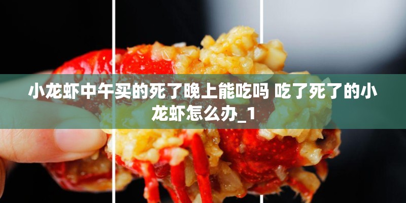 小龙虾中午买的死了晚上能吃吗 吃了死了的小龙虾怎么办_1