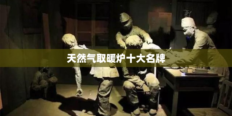 天然气取暖炉十大名牌