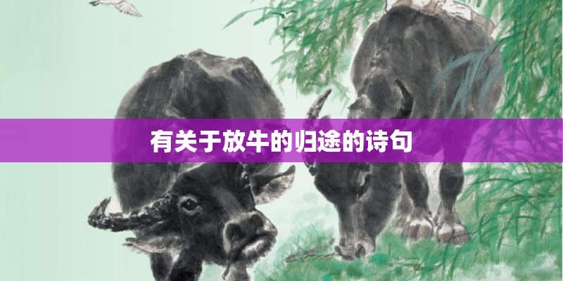 有关于放牛的归途的诗句