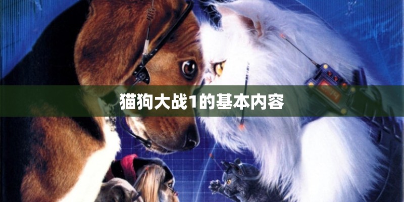 猫狗大战1的基本内容