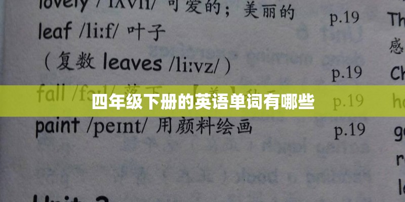 四年级下册的英语单词有哪些