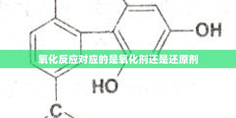 氧化反应对应的是氧化剂还是还原剂