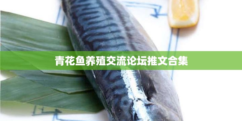 青花鱼养殖交流论坛推文合集