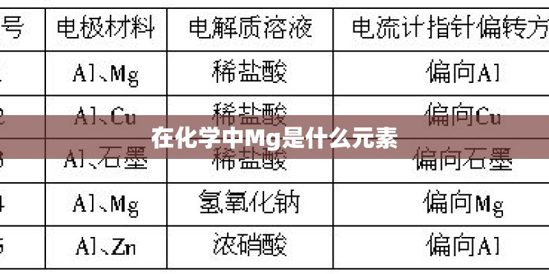 在化学中Mg是什么元素
