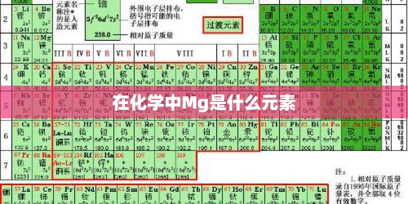 在化学中Mg是什么元素