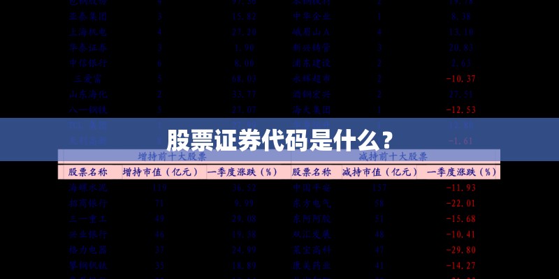 股票证券代码是什么？