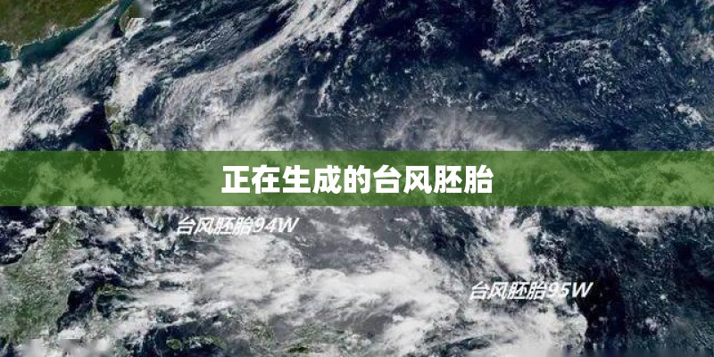 正在生成的台风胚胎