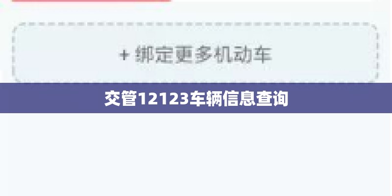 交管12123车辆信息查询