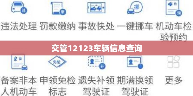 交管12123车辆信息查询