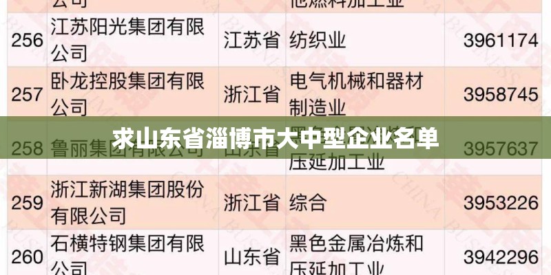 求山东省淄博市大中型企业名单