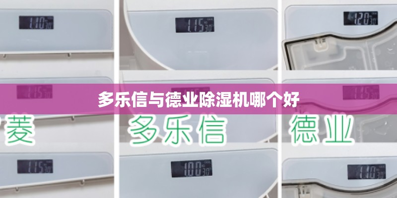 白玫瑰代表什么？