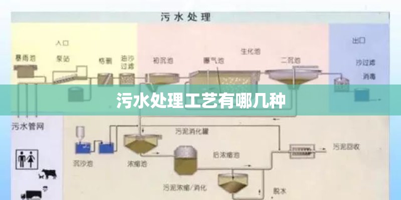 白玫瑰代表什么？